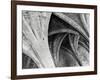 Arches Mono-Doug Chinnery-Framed Photographic Print