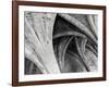 Arches Mono-Doug Chinnery-Framed Photographic Print