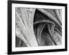 Arches Mono-Doug Chinnery-Framed Photographic Print