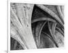 Arches Mono-Doug Chinnery-Framed Photographic Print