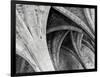 Arches Mono-Doug Chinnery-Framed Photographic Print