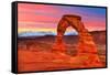 Arches National Park Delicate Arch Sunset in Moab Utah USA Photo Mount-holbox-Framed Stretched Canvas