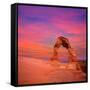 Arches National Park Delicate Arch Sunset in Moab Utah USA Photo Mount-holbox-Framed Stretched Canvas