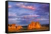 Arches National Park II-Ike Leahy-Framed Stretched Canvas