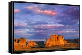 Arches National Park II-Ike Leahy-Framed Stretched Canvas