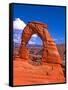 Arches National Park III-Ike Leahy-Framed Stretched Canvas