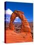 Arches National Park III-Ike Leahy-Stretched Canvas