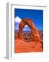 Arches National Park III-Ike Leahy-Framed Photographic Print