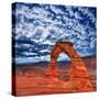 Arches National Park in Moab Utah USA-holbox-Stretched Canvas