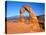 Arches National Park, Utah, USA-David Parker-Stretched Canvas
