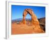 Arches National Park, Utah, USA-David Parker-Framed Photographic Print