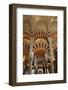 Arches of the Mosque (Mezquita) and Cathedral of Cordoba, Cordoba, Andalucia, Spain-Godong-Framed Photographic Print