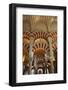 Arches of the Mosque (Mezquita) and Cathedral of Cordoba, Cordoba, Andalucia, Spain-Godong-Framed Photographic Print