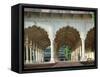 Arches, the Red Fort, Agra, Unesco World Heritage Site, Uttar Pradesh State, India, Asia-Occidor Ltd-Framed Stretched Canvas