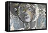 Archetype III-Elena Ray-Framed Stretched Canvas