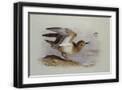 Black Frame