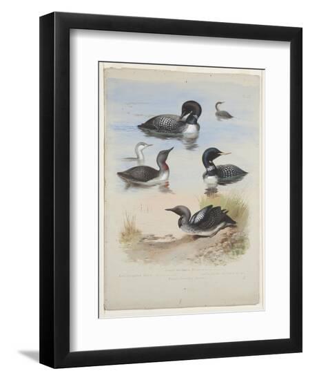 Premium Giclee Print, , large