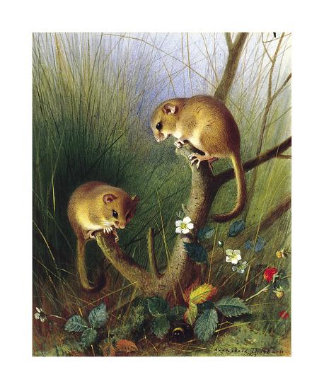 Premium Giclee Print, , large