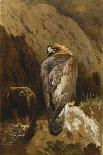 A Tawny Owl Perched on an Oak Branch, 1917 watercolor-Archibald Thorburn-Giclee Print