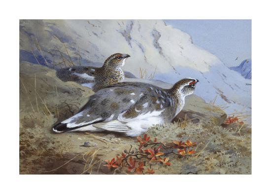 Premium Giclee Print, , large