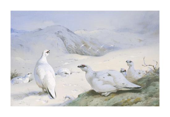 Premium Giclee Print, , large