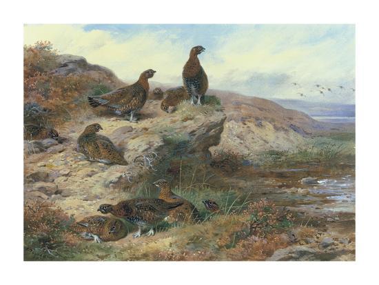 Premium Giclee Print, , large