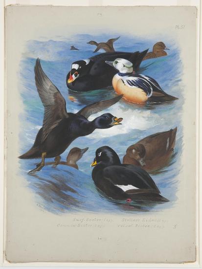 Premium Giclee Print, , large