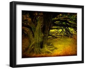 Archibald-Cristina Carra Caso-Framed Photographic Print