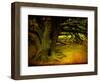 Archibald-Cristina Carra Caso-Framed Premium Photographic Print