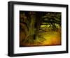 Archibald-Cristina Carra Caso-Framed Premium Photographic Print