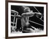 Archie Moore Knocked Out by Heavyweight Champion Rocky Marciano-null-Framed Photo