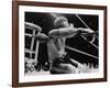 Archie Moore Knocked Out by Heavyweight Champion Rocky Marciano-null-Framed Photo