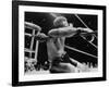 Archie Moore Knocked Out by Heavyweight Champion Rocky Marciano-null-Framed Photo