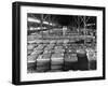 Archie Underwood and Another Man Standing on Top of Great Bales of Cotton in One of His Warehouses-Alfred Eisenstaedt-Framed Photographic Print