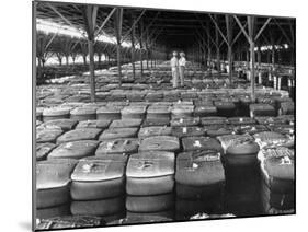 Archie Underwood and Another Man Standing on Top of Great Bales of Cotton in One of His Warehouses-Alfred Eisenstaedt-Mounted Photographic Print