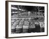 Archie Underwood and Another Man Standing on Top of Great Bales of Cotton in One of His Warehouses-Alfred Eisenstaedt-Framed Photographic Print