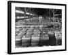 Archie Underwood and Another Man Standing on Top of Great Bales of Cotton in One of His Warehouses-Alfred Eisenstaedt-Framed Photographic Print