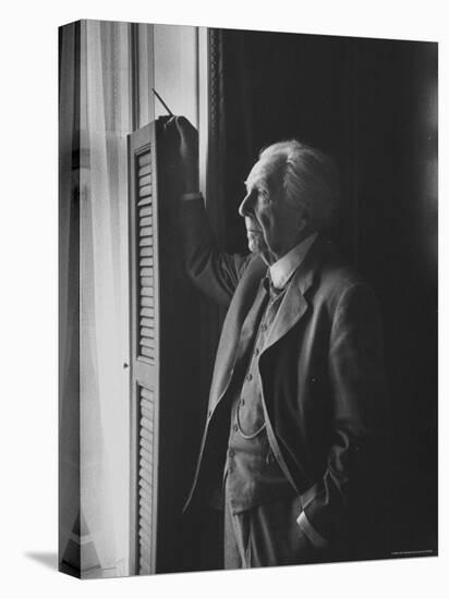 Architect Frank Lloyd Wright-Lisa Larsen-Stretched Canvas