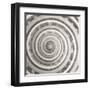 Architect Shell - Focus-Ben Wood-Framed Giclee Print