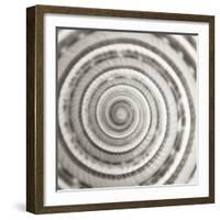 Architect Shell - Focus-Ben Wood-Framed Giclee Print