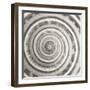 Architect Shell - Focus-Ben Wood-Framed Giclee Print