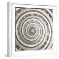 Architect Shell - Focus-Ben Wood-Framed Giclee Print