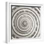 Architect Shell - Focus-Ben Wood-Framed Giclee Print