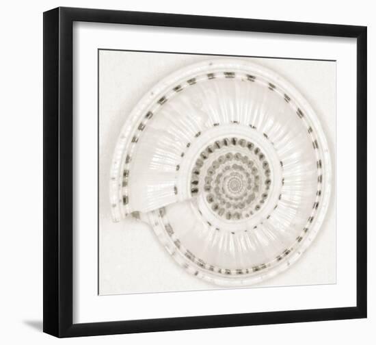 Architect Shell - Monochrome-Ben Wood-Framed Giclee Print