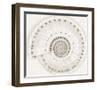 Architect Shell - Monochrome-Ben Wood-Framed Giclee Print