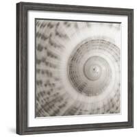 Architect Shell - Study-Ben Wood-Framed Giclee Print