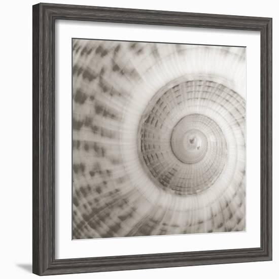 Architect Shell - Study-Ben Wood-Framed Giclee Print