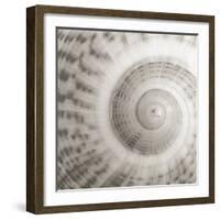 Architect Shell - Study-Ben Wood-Framed Giclee Print