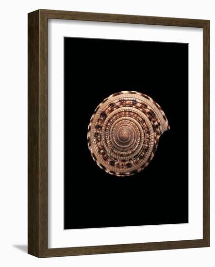 Architectonica Maxima-Paul Starosta-Framed Photographic Print