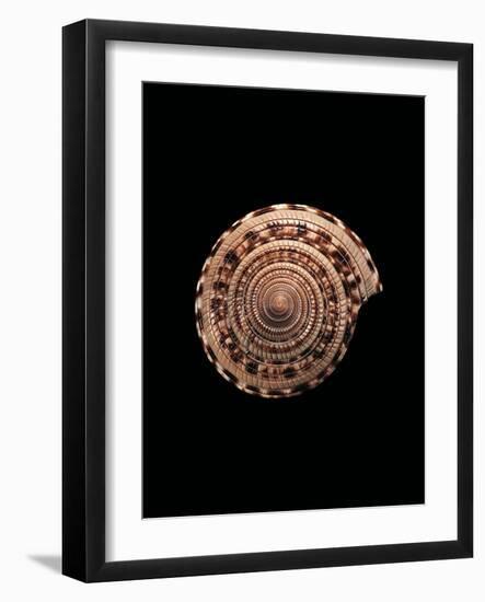 Architectonica Maxima-Paul Starosta-Framed Photographic Print